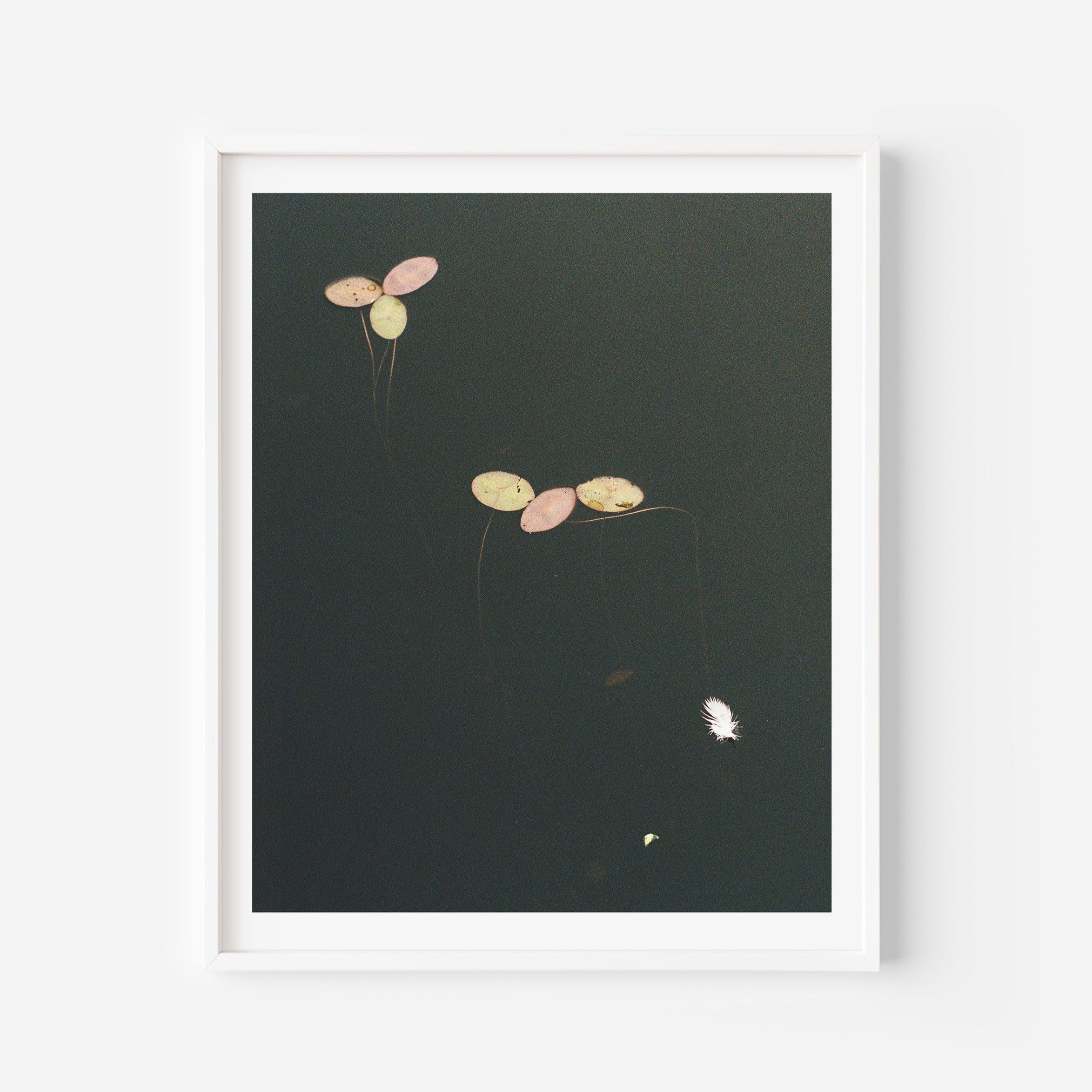Abysses - Affiche 8 x 10