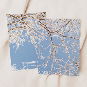 Greeting Card - Frost