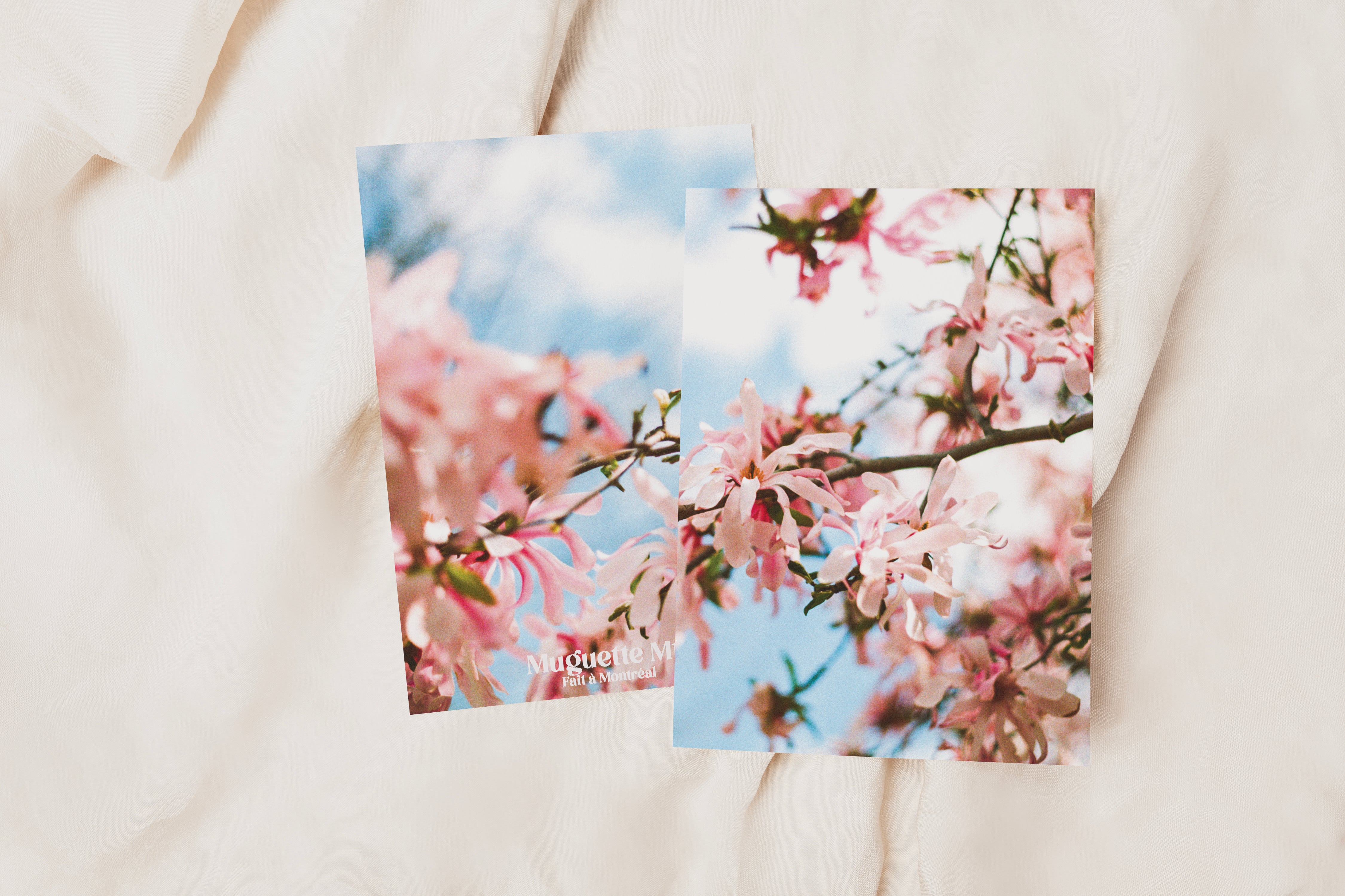Carte de souhaits - Magnolias