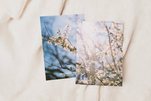 Greeting card - Apple Blossoms