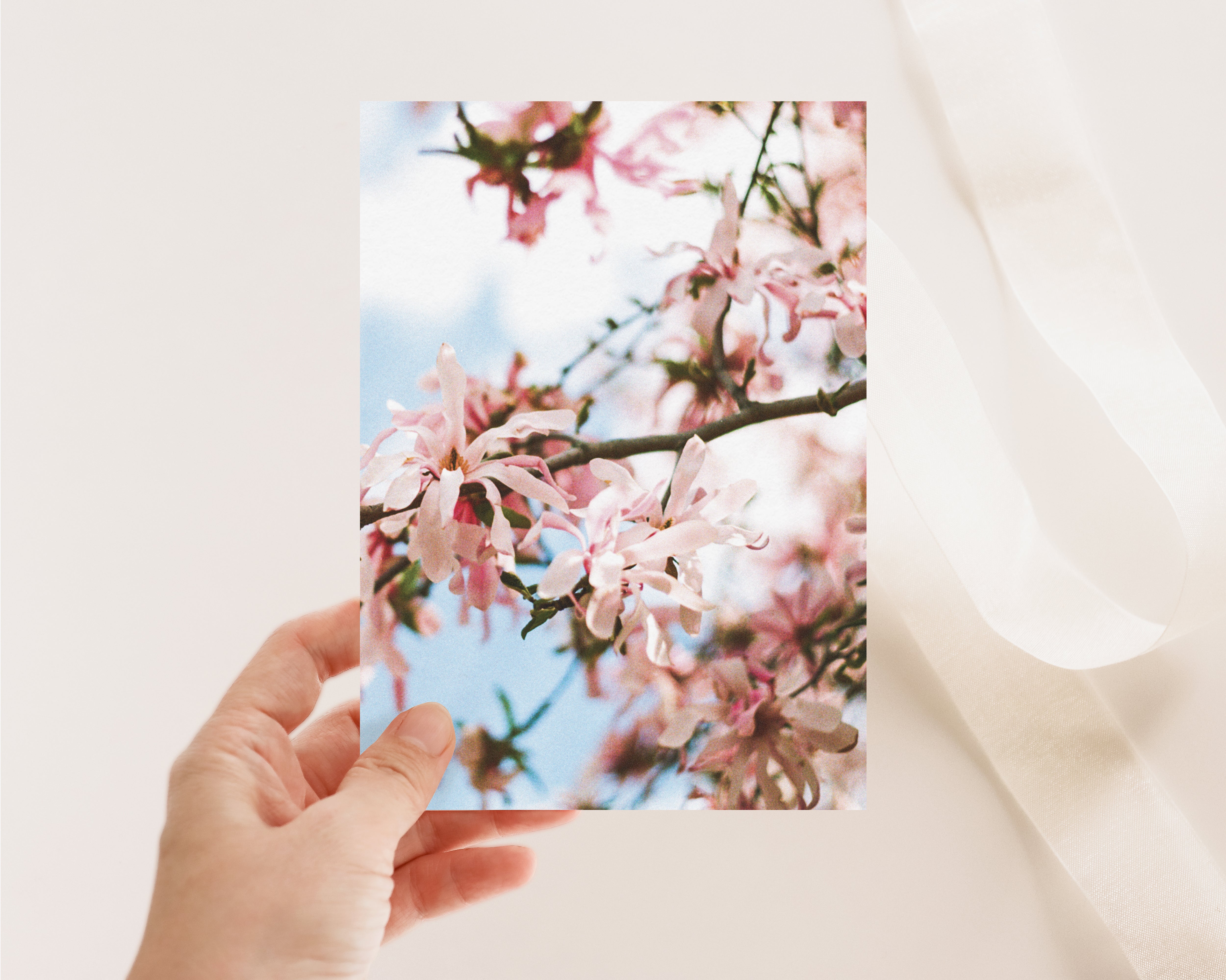 Greeting card - Magnolias